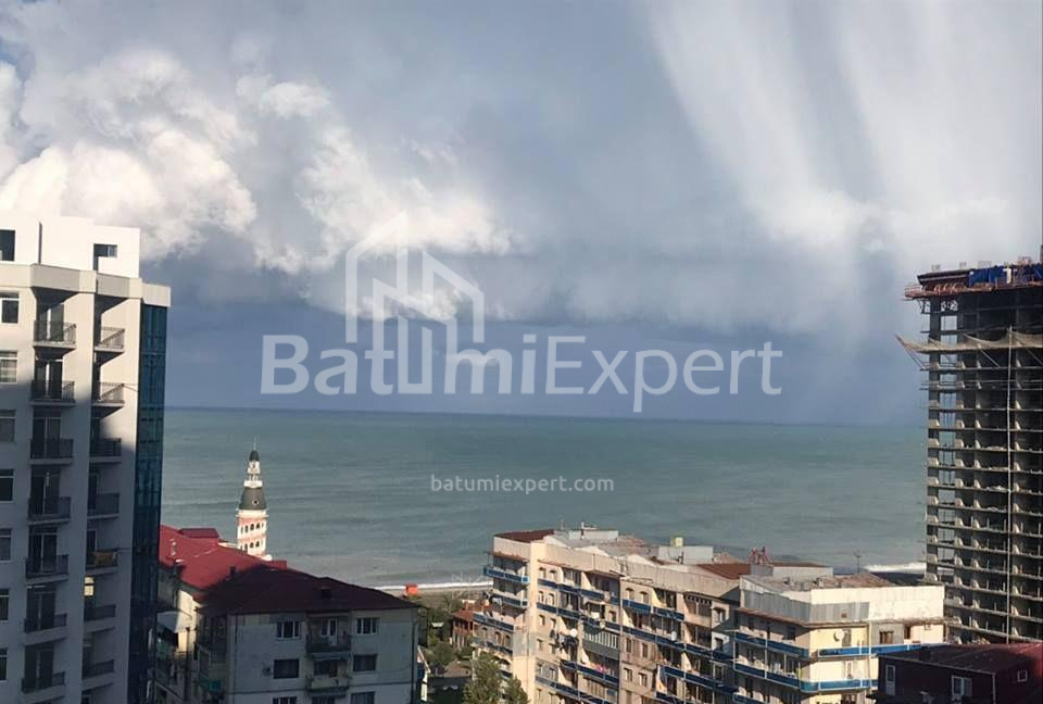 公寓 53 平方米的公寓 - 尼科·皮罗斯马尼, Batumi, 佐治亚州。