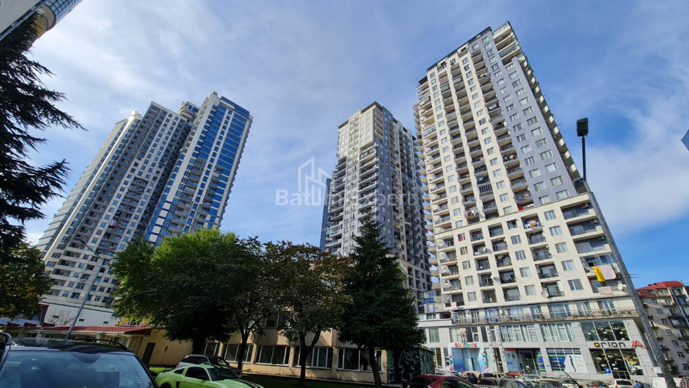公寓 53 平方米的公寓 - 尼科·皮罗斯马尼, Batumi, 佐治亚州。