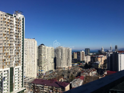公寓 48 平方米的公寓 - 尼科·皮罗斯马尼, Batumi, 佐治亚州。