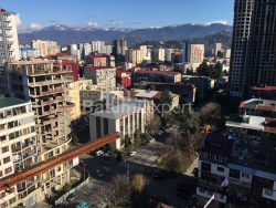 公寓 77 平方米的公寓 - 尼科·皮罗斯马尼, Batumi, 佐治亚州。