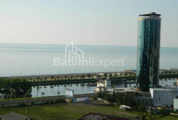 公寓 56 平方米的公寓 - 尼科·皮罗斯马尼, Batumi, 佐治亚州。