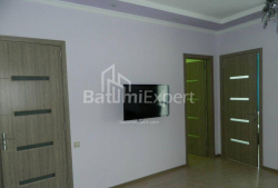 公寓 3-комн 56 m² - 尼科·皮罗斯马尼, Batumi