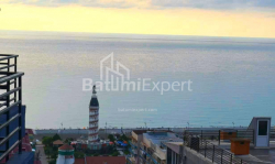 公寓 33 平方米的公寓 - 尼科·皮罗斯马尼, Batumi, 佐治亚州。