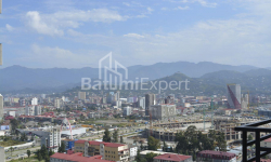 公寓 31 平方米的公寓 - 尼科·皮罗斯马尼, Batumi, 佐治亚州。