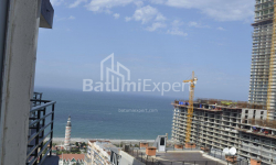 公寓 31 平方米的公寓 - 尼科·皮罗斯马尼, Batumi, 佐治亚州。