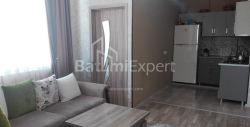 公寓 4-комн 66 m² - 亚历山德拉·普希金, Batumi