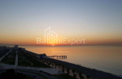 公寓 2-комн 48 m² - 治安官 Khimshiashvili, Batumi