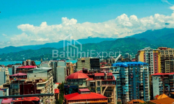公寓 3-комн 62 m² - Vakhtang Gorgasali, Batumi