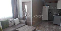 公寓 3-комн 66 m² - 亚历山德拉·普希金, Batumi