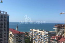 公寓 32 平方米的公寓 - 尼科·皮罗斯马尼, Batumi, 佐治亚州。