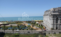 公寓 80 平方米的公寓 - 祖拉巴戈尔吉拉泽, Batumi, 佐治亚州。