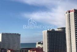 公寓 3-комн 53 m² - 尼科·皮罗斯马尼, Batumi