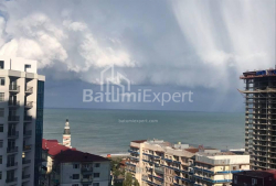 公寓 3-комн 53 m² - 尼科·皮罗斯马尼, Batumi