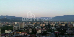 公寓 2-комн 42 m² - 尼科·皮罗斯马尼, Batumi