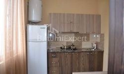 公寓 3-комн 43 m² - 亚历山德拉·格里博多娃, Batumi