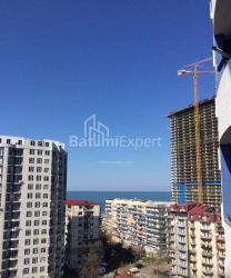 公寓 32 平方米的公寓 - 尼科·皮罗斯马尼, Batumi, 佐治亚州。