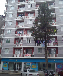 公寓 3-комн 47 m² - 弗里迪翁卡尔瓦西, Batumi