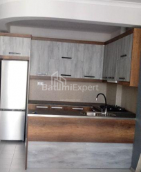 公寓 4-комн 74 m² - 尼科·皮罗斯马尼, Batumi