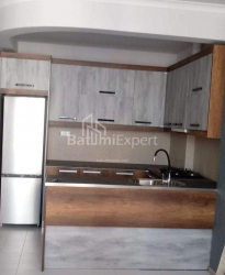公寓 4-комн 74 m² - 尼科·皮罗斯马尼, Batumi