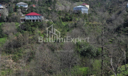 公寓 2-комн 170 m² - 尤里耶夫斯卡娅, Batumi