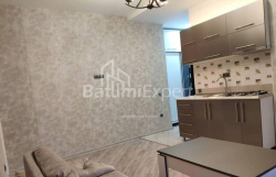 公寓 2-комн 40 m² - 尼科·皮罗斯马尼, Batumi