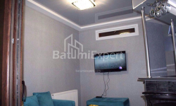 公寓 3-комн 48 m² - 伊利亚·查瓦查瓦泽, Batumi