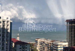 公寓 3-комн 53 m² - 尼科·皮罗斯马尼, Batumi