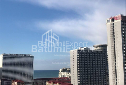 公寓 53 平方米的公寓 - 尼科·皮罗斯马尼, Batumi, 佐治亚州。
