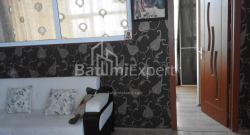 公寓 3-комн 65 m² - 尼科·皮罗斯马尼, Batumi