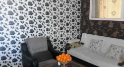 公寓 3-комн 65 m² - 尼科·皮罗斯马尼, Batumi