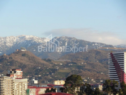 公寓 1-комн 33 m² - 尼科·皮罗斯马尼, Batumi