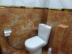 公寓 1-комн 33 m² - 尼科·皮罗斯马尼, Batumi