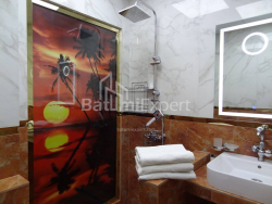 公寓 1-комн 33 m² - 尼科·皮罗斯马尼, Batumi