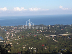 私宅 6-комн 5000 m² - 梅兹瓦塔, Chakvi