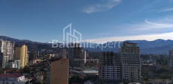 公寓 31.3 平方米的公寓 - 沙尔瓦·伊纳萨里泽, Batumi, 佐治亚州。