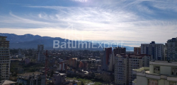 公寓 31.3 平方米的公寓 - 沙尔瓦·伊纳萨里泽, Batumi, 佐治亚州。