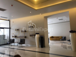 公寓 1-комн 33 m² - 治安官 Khimshiashvili, Batumi