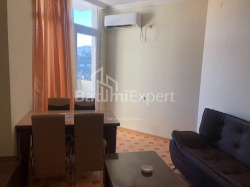 公寓 2-комн 40 m² - 亚历山德拉·普希金, Batumi
