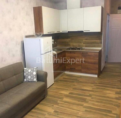公寓 2-комн 47 m² - 治安官 Khimshiashvili, Batumi