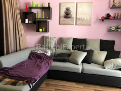 公寓 2-комн 48 m² - 尼科·皮罗斯马尼, Batumi