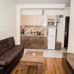 公寓 2-комн 41.2 m² - 亚历山德拉·普希金, Batumi