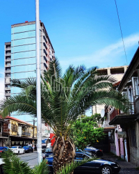 公寓 80 平方米的公寓 - 伊利亚·查瓦查瓦泽, Batumi, 佐治亚州。