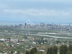 私宅 160 平方米的公寓 - 机场高速, Batumi, 佐治亚州。