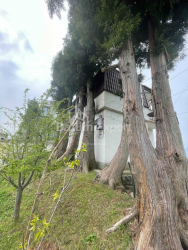 私宅 160 平方米的公寓 - 机场高速, Batumi, 佐治亚州。