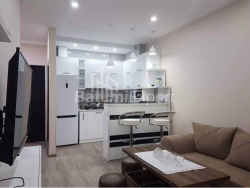 公寓 2-комн 46 m² - 伊利亚·查瓦查瓦泽, Batumi