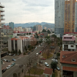 公寓 62 平方米的公寓 - 尼科·皮罗斯马尼, Batumi, 佐治亚州。