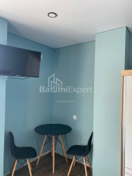 公寓 1-комн 24 m² - 莱赫和玛丽亚·卡钦斯基, Batumi
