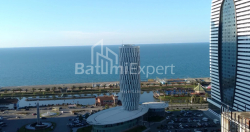 公寓 49.2 平方米的公寓 - 尼科·皮罗斯马尼, Batumi, 佐治亚州。